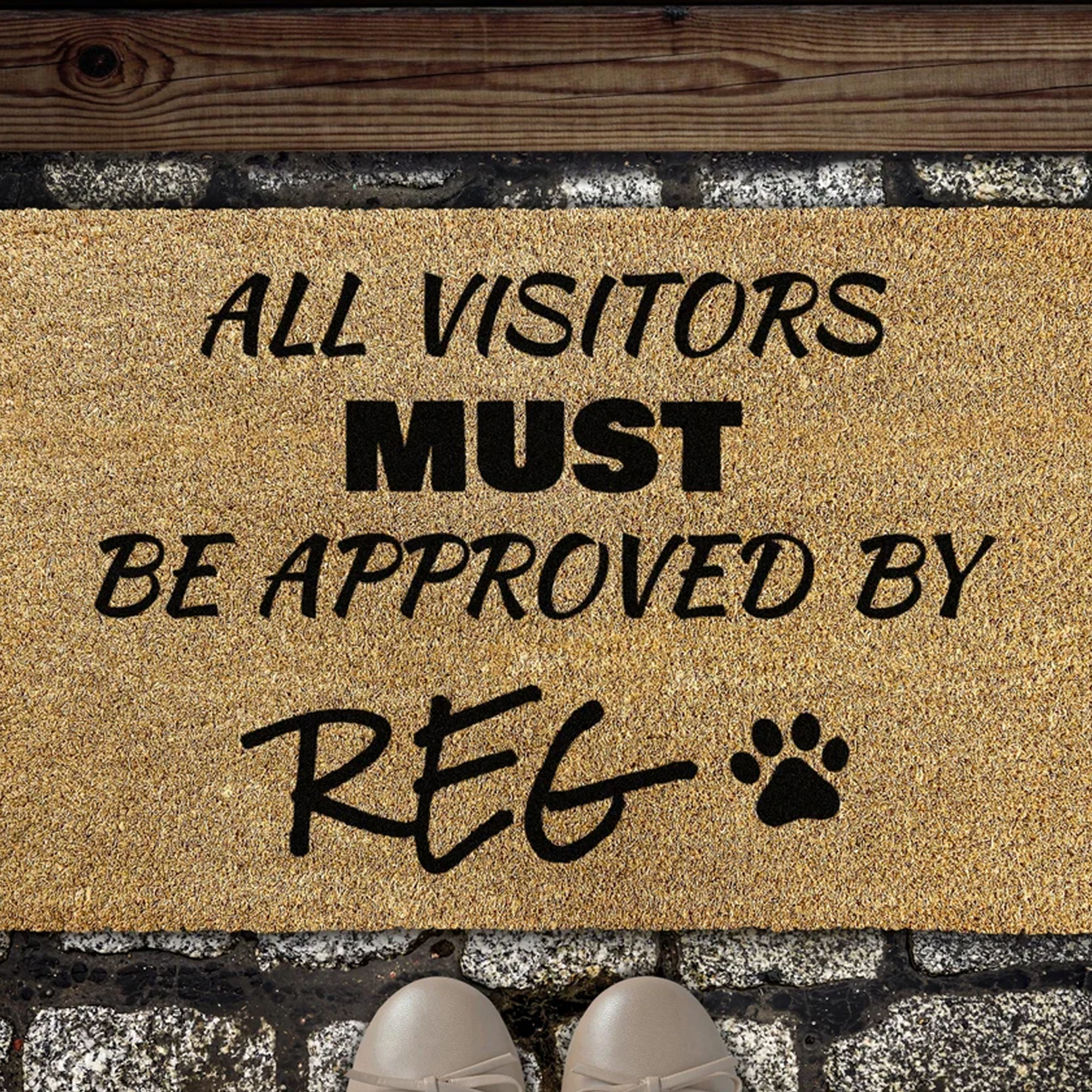 All Visitors Must Be Approved By Doormat Funny Doormat Dog Doormat Custom Doormat Personalized Doormat Housewarming Gift